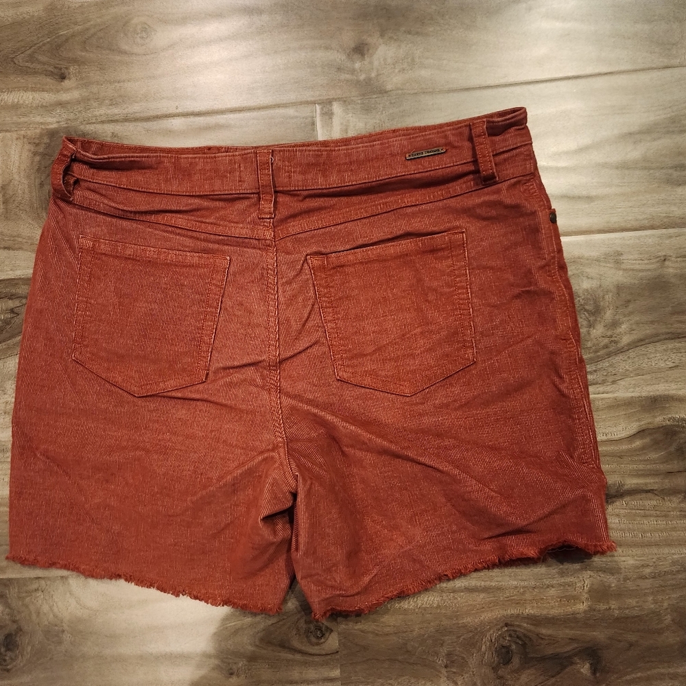 Carve Designs Oahu Shorts
